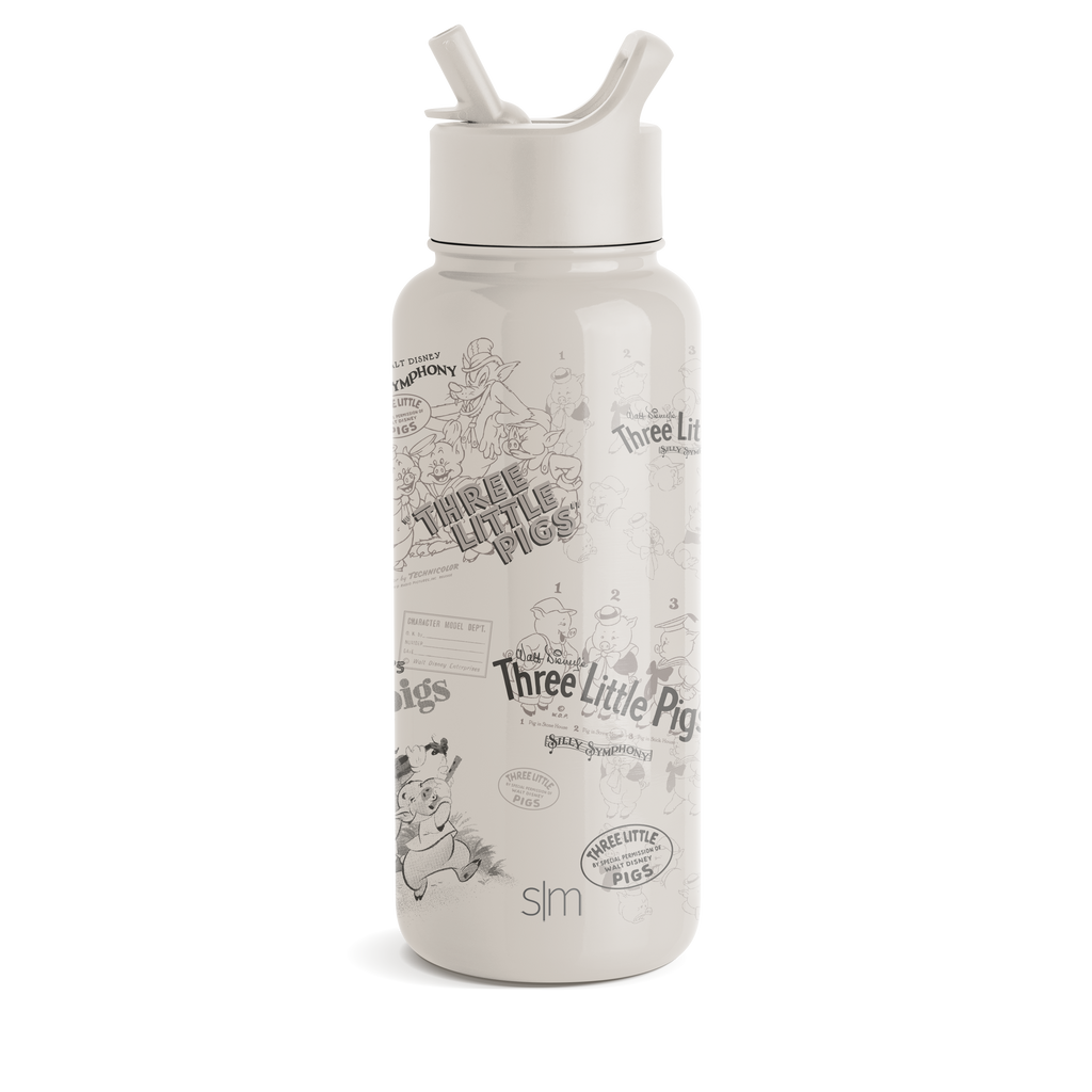 Disney Summit Water Bottle with Straw Lid A5 4n