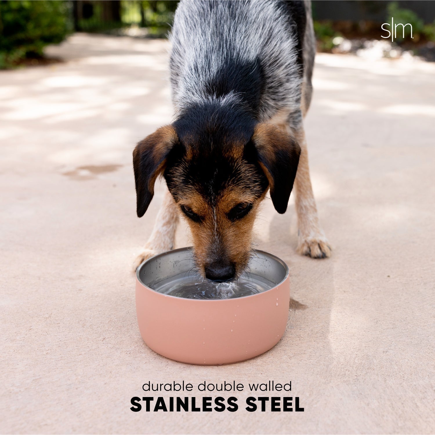 Bentley Pet Bowl J8 tq