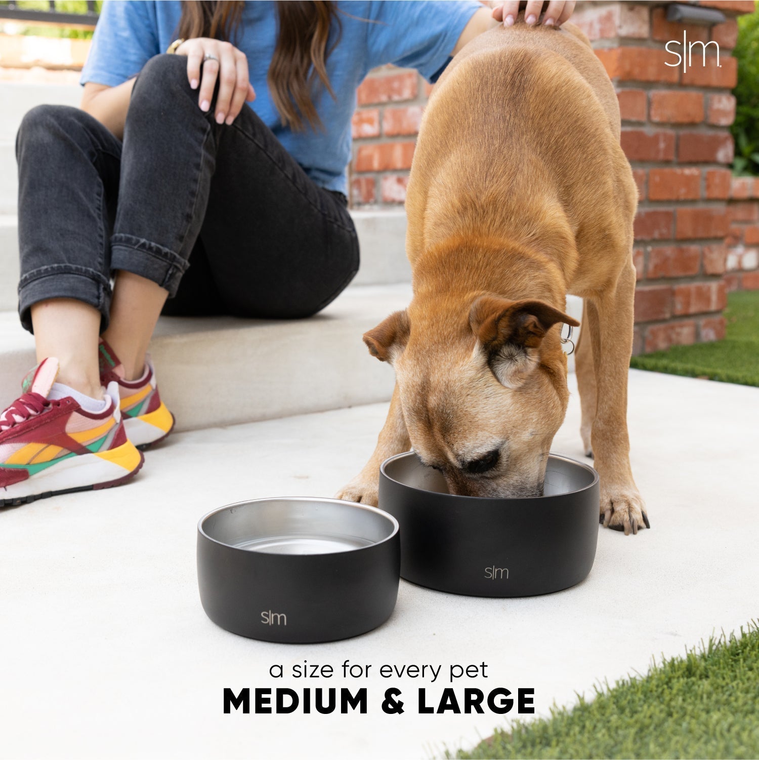 Bentley Pet Bowl Q0 EI